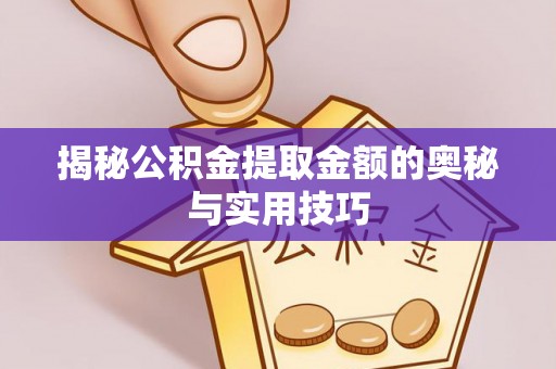 武川揭秘公积金提取金额的奥秘与实用技巧