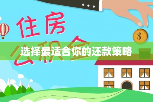 武川选择最适合你的还款策略