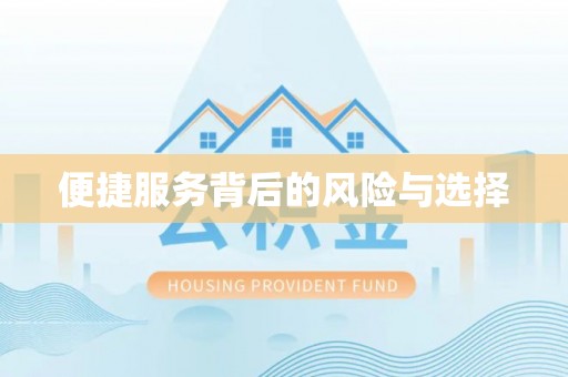 武川便捷服务背后的风险与选择