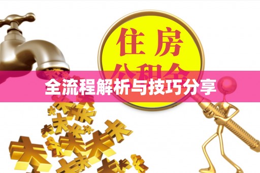 武川全流程解析与技巧分享