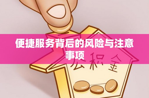 武川便捷服务背后的风险与注意事项